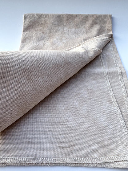 Picture This Plus ~ 20 ct Sand Aida Fabric